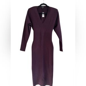 Express Deep Purple Long Sleeve Dress